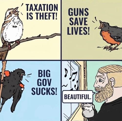 z TAXATION 2 1S THEFT GUNS SAVE LIVES BEAUTIFUL