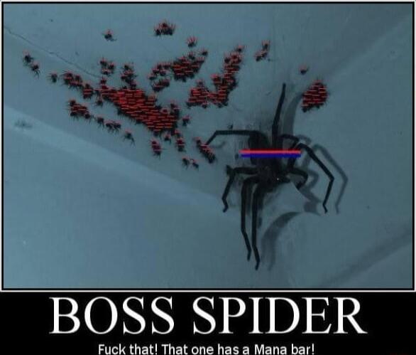 BOSS SPIDER