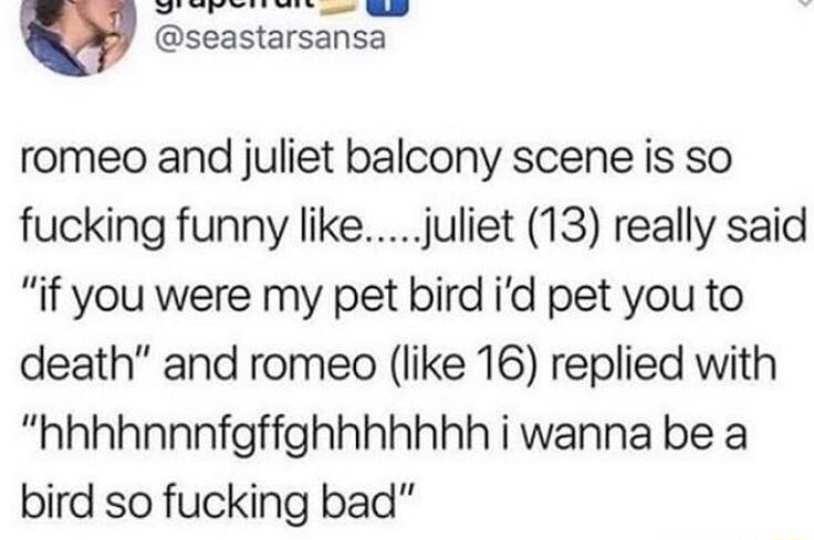 seastarsansa romeo and juliet balcony scene is so fucking funny likejuliet 13 really said if you were my pet bird id pet you to death and romeo like 16 replied with hhhhnnnfgffghhhhhhh i wanna be a bird so fucking bad