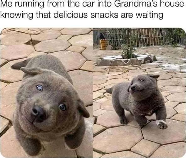 Me running from the car into Granadmas house knowing that delicious snacks are waiting