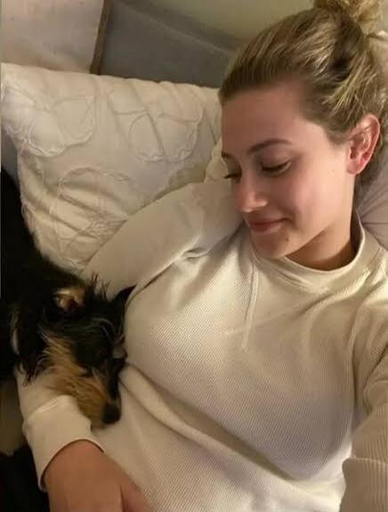A woman lying in bed with a small dog beside her.