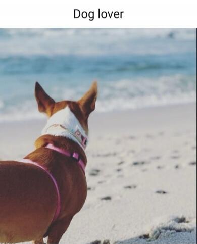 Dog lover