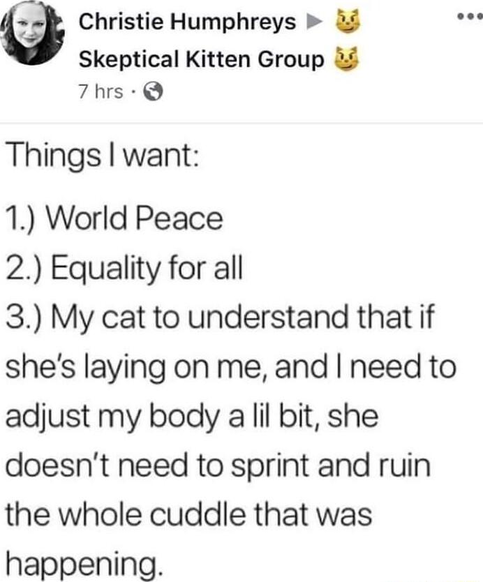 f Christie Humphreys Skeptical Kitten Group 7hrs Q Things want 1 World Peace 2 Equality for all 3 My cat to understand that if shes laying on me and need to adjust my body a lil bit she doesnt need to sprint and ruin the whole cuddle that was happening