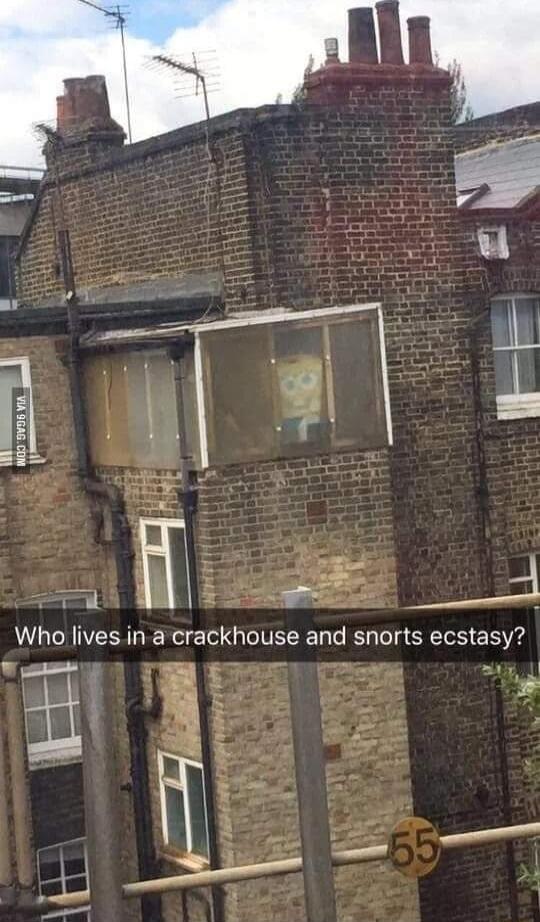 Who lives in a crackhouse and snorts ecstasy