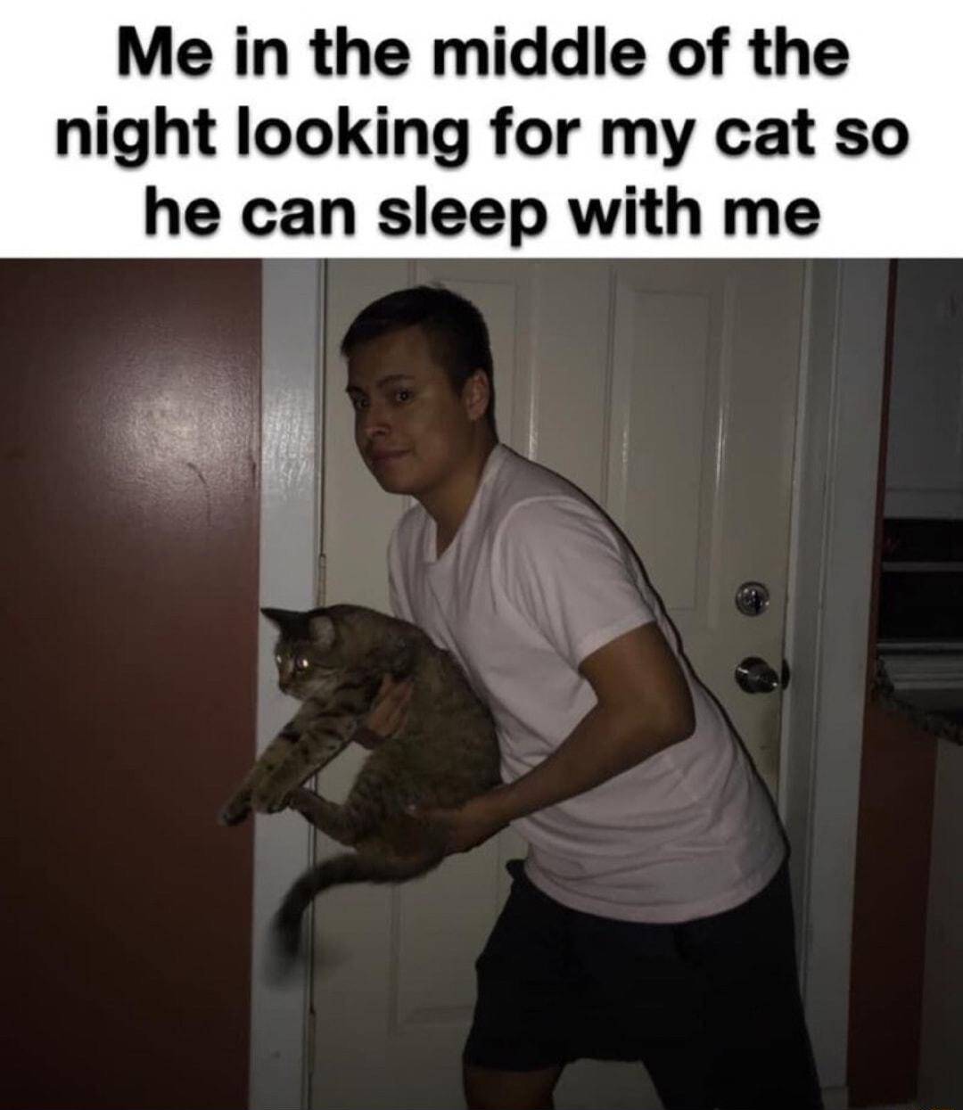 Me in the middle of the night looking for my cat so he can sleep with me