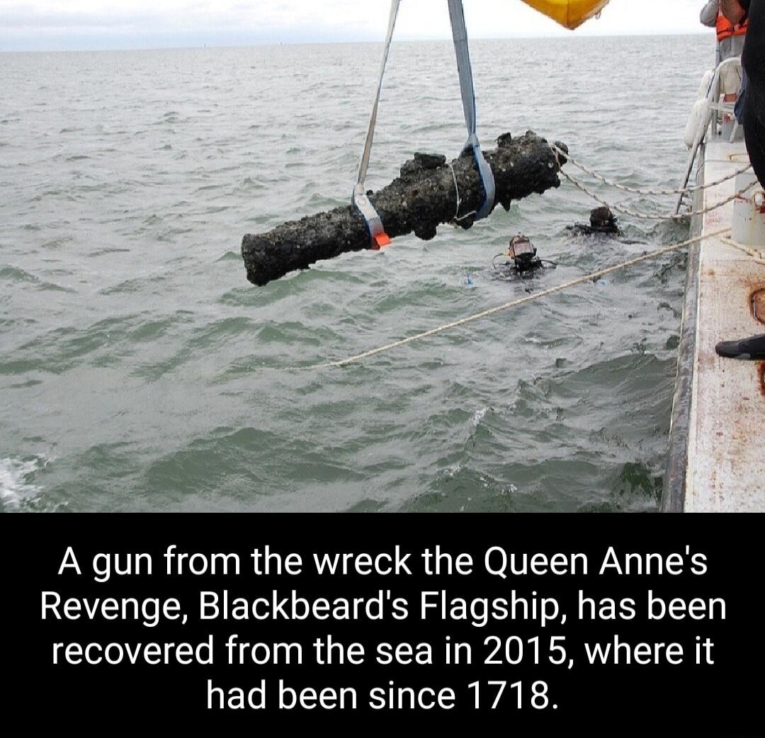 A gun from the wreck the Queen Annes Revenge Blackbeards Flagship has been recovered from the sea in 2015 where it had been since 171