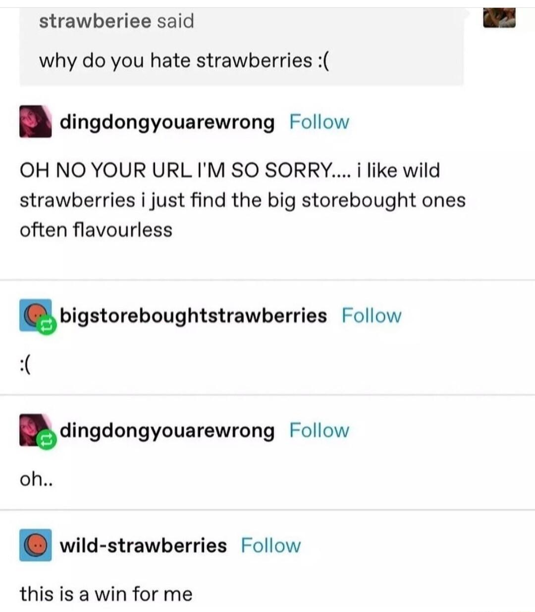 strawberiee said why do you hate strawberries dingdongyouarewrong Follow OH NO YOUR URL IM SO SORRY i like wild strawberries i just find the big storebought ones often flavourless blgstoreboughtslrawberrias Follow i dlngdongyouarawrong Follow oh wild strawberries Follow this is a win for me