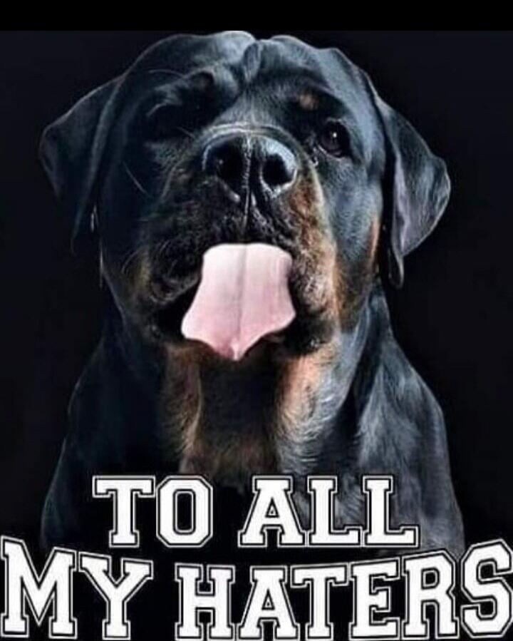 TO ALL MY HATERS