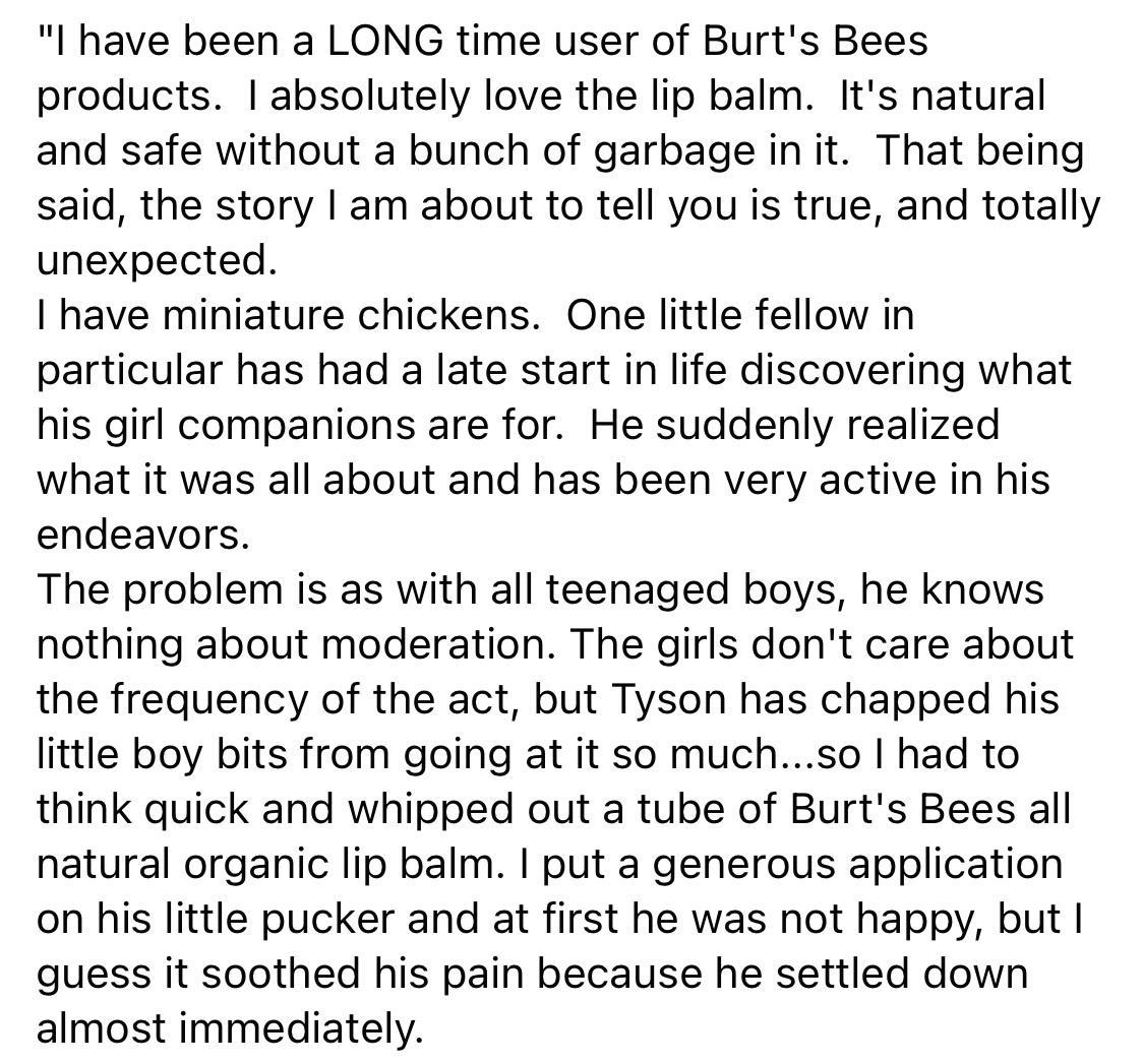 I have been a LONG time user of Burts Bees products absolutely love the lip balm Its natural and safe without a bunch of garbage init That being said the story am about to tell you is true and totally unexpected have miniature chickens One little fellow in particular has had a late start in life discovering what his girl companions are for He suddenly realized what it was all about and has been ve