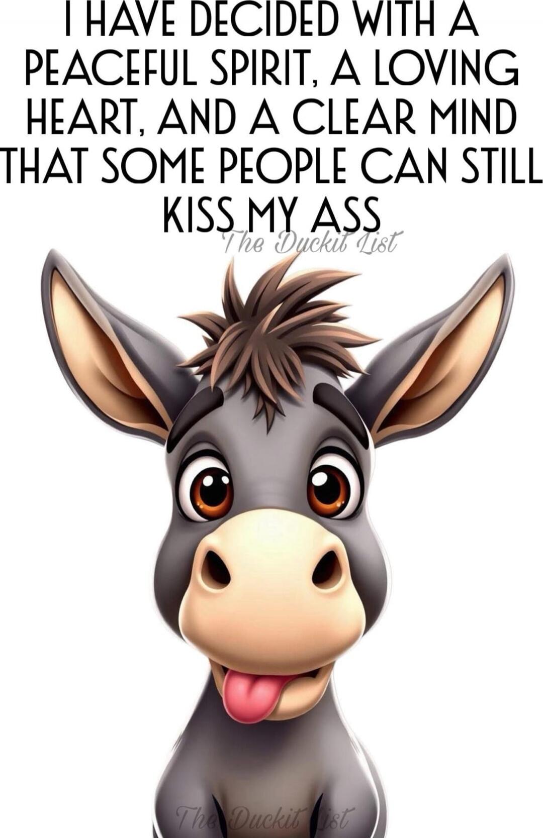 I HAVE DECIDED WITH A PEACEFUL SPIRIT, A LOVING HEART, AND A CLEAR MIND THAT SOME PEOPLE CAN STILL KISS MY ASS