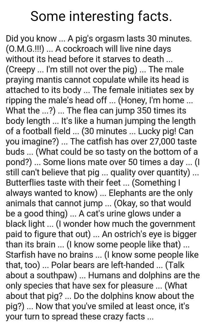 Some interesting facts Did you know A pigs orgasm lasts 30 minutes 0MG1 A cockroach will live nine days without its head before it starves to death Creepy Im still not over the pig The male praying mantis cannot copulate while its head is attached to its body The female initiates sex by ripping the males head off Honey Im home What the The flea can jump 350 times its body length Its like a human j