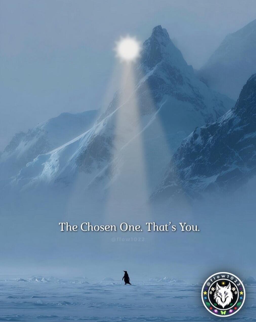 The Chosen One. That’s You.