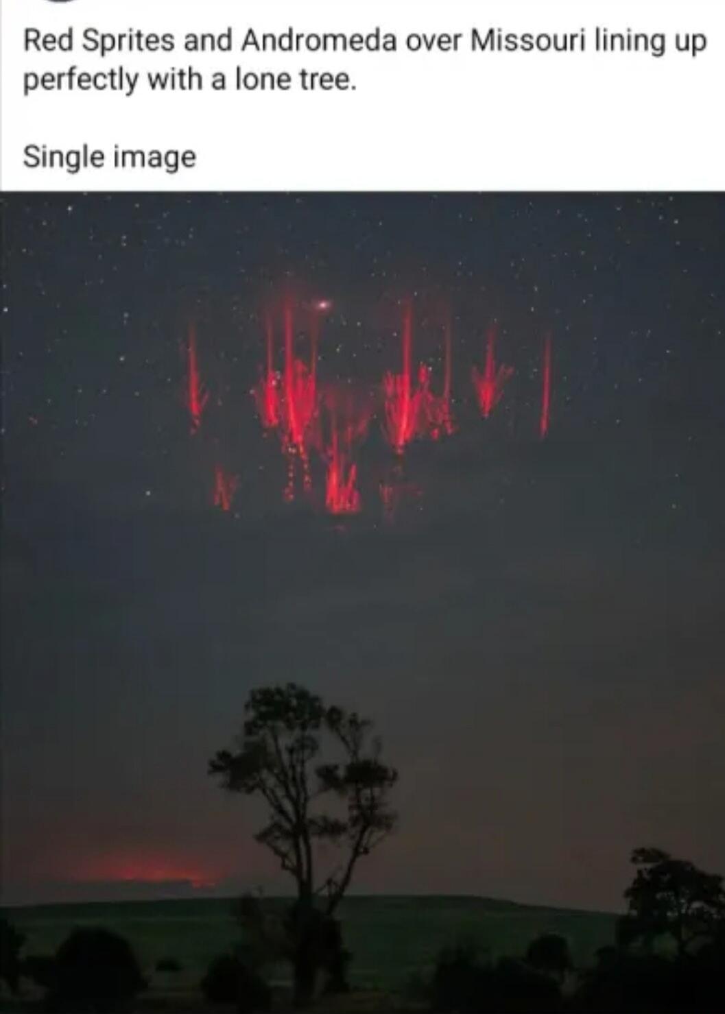 Red Sprites and Andromeda over Missouri lining up perfectly with a lone tree. Single image