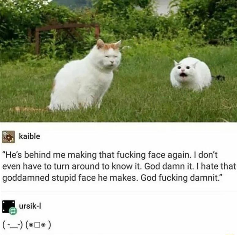 B kaible Hes behind me making that fucking face again dont even have to turn around to know it God damn t hate that goddamned stupid face he makes God fucking damnit 5 ursik ee