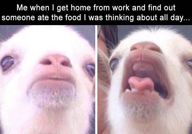 Me when get home from work and find out someone ate the food was thinking about all day