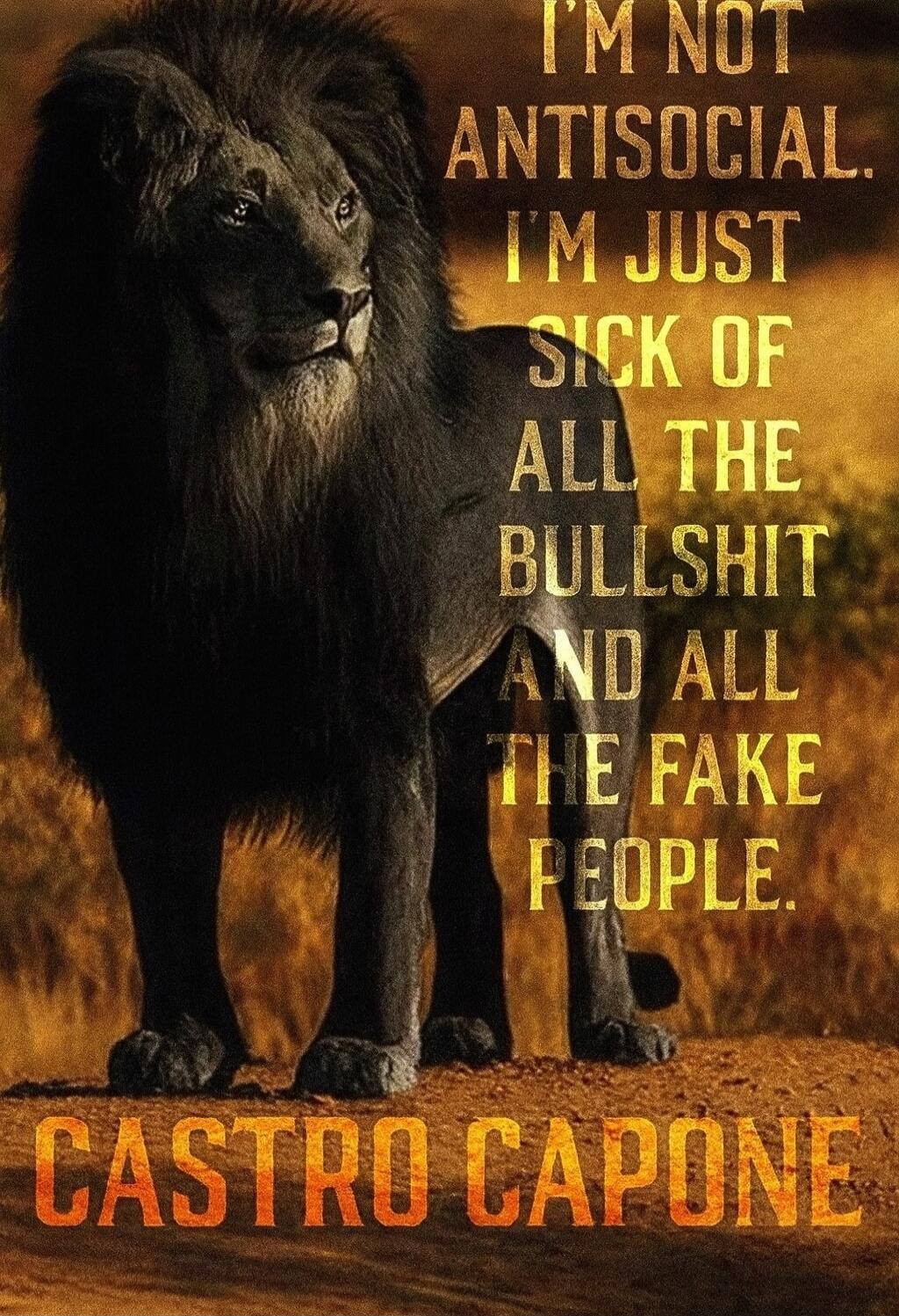 I'M NOT ANTISOCIAL. I'M JUST SICK OF ALL THE BULLSHIT AND ALL THE FAKE PEOPLE. Castro Capone