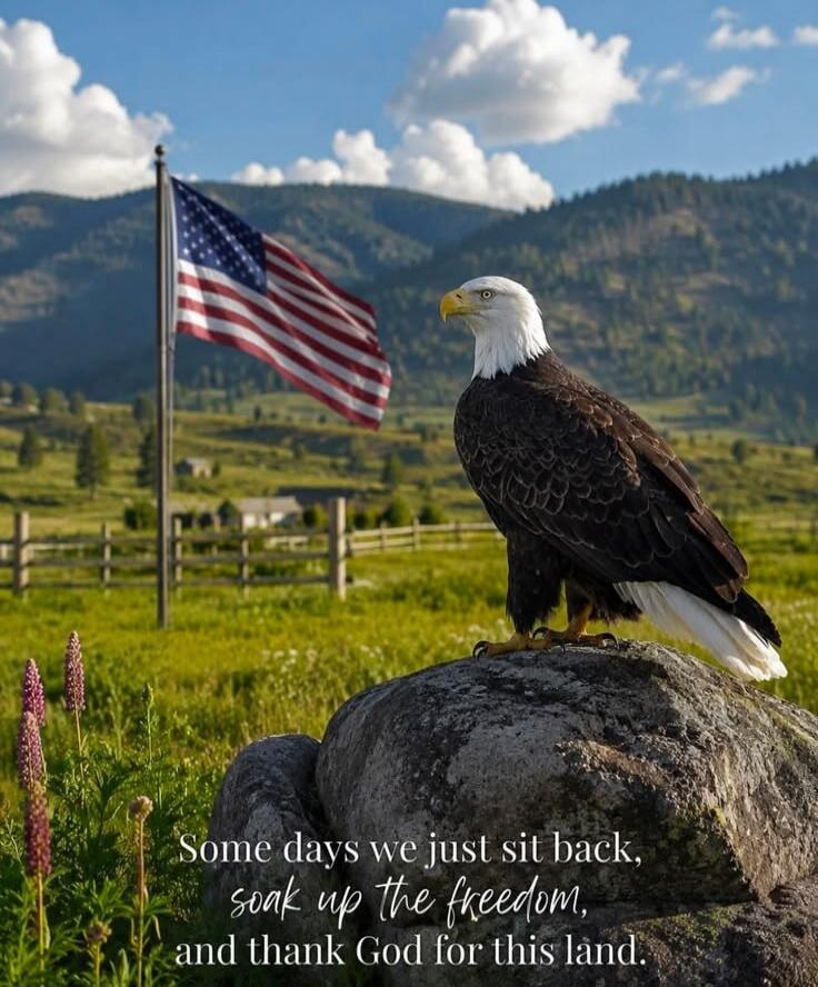 Some days we just sit back, soak up the freedom, and thank God for this land.