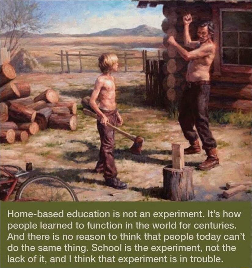 Home based education is not an experiment Its how people learned to function in the world for centuries And there is no reason to think that people today cant do the same thing School is the experiment not the lack of it and I think that experiment is in trouble