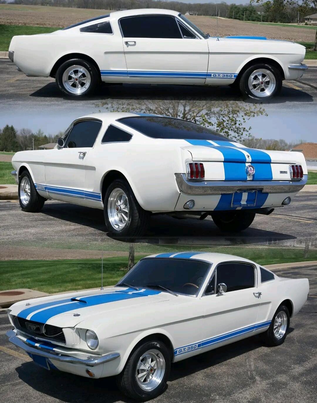 G.T. 350