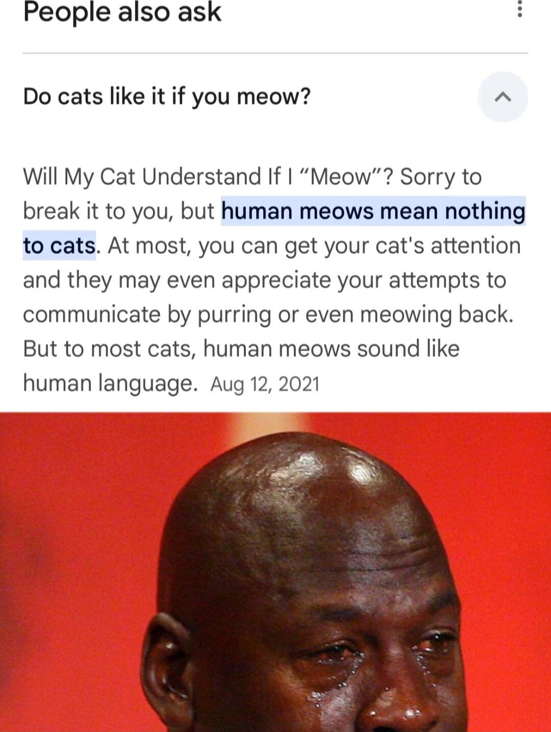 People also ask H Do cats like it if you meow A Will My Cat Understand If Meow Sorry to break it to you but human meows mean nothing to cats At most you can get your cats attention and they may even appreciate your attempts to communicate by purring or even meowing back But to most cats human meows sound like human language Aug 12 2021