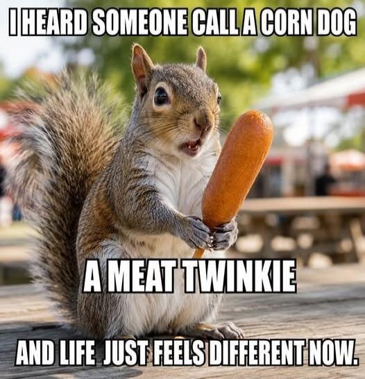 I HEARD SOMEONE CALL A CORN DOG A MEAT TWINKIE AND LIFE JUST FEELS DIFFERENT NOW.