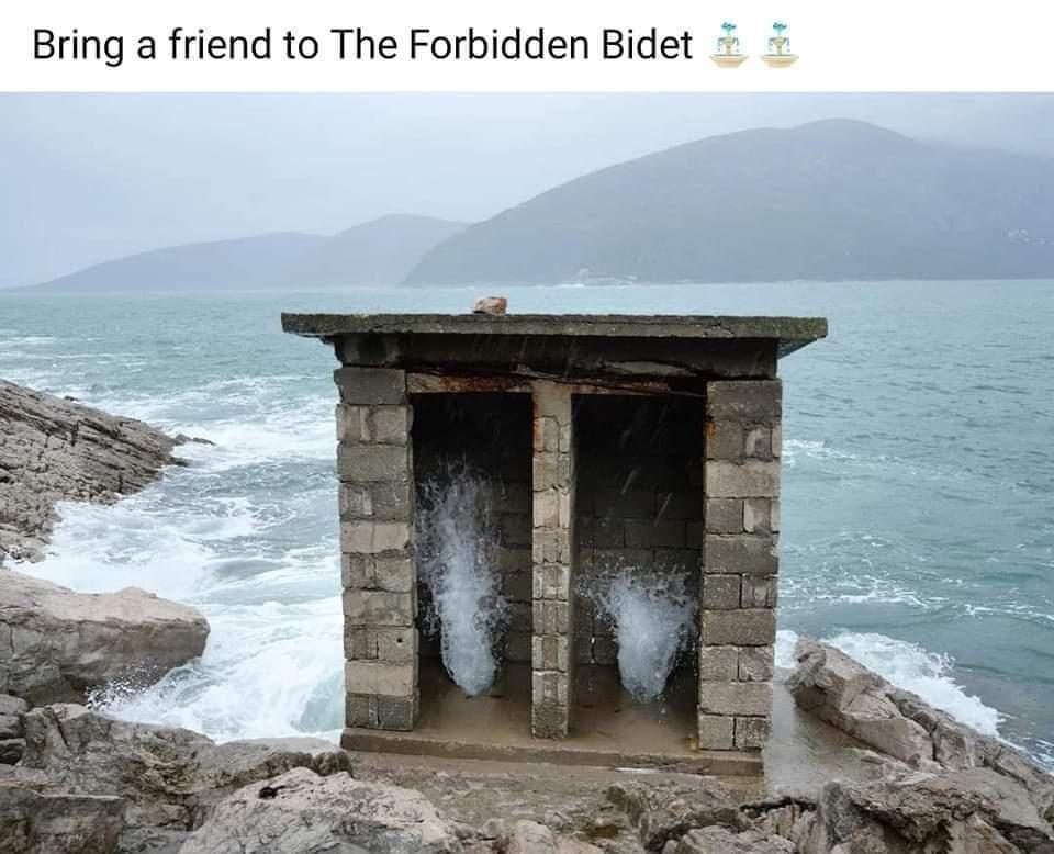 Bring a friend to The Forbidden Bidet