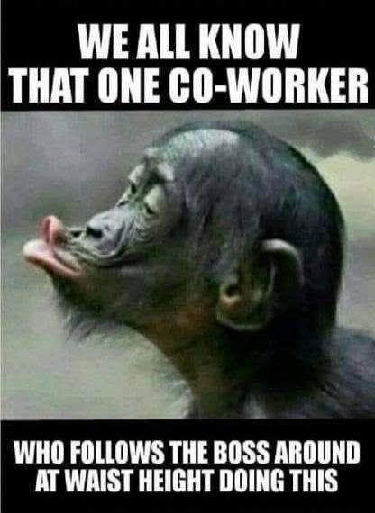 WE ALL KNOW THAT ONE CO-WORKER WHO FOLLOWS THE BOSS AROUND AT WAIST HEIGHT DOING THIS