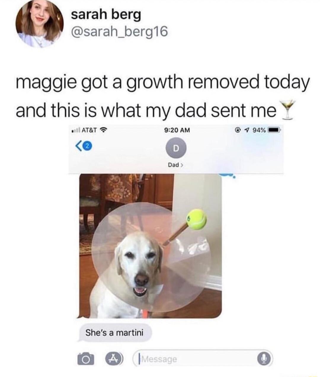 sarah berg sarah_berg16 maggie got a growth removed today and this is what my dad sent me winaT e o20Am 7w e Shes amartini o 1