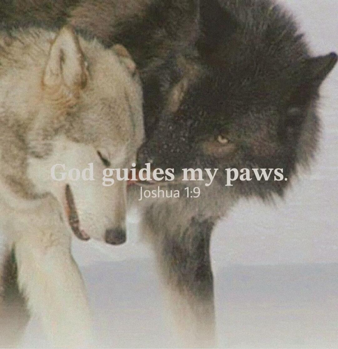 God guides my paws. Joshua 1:9