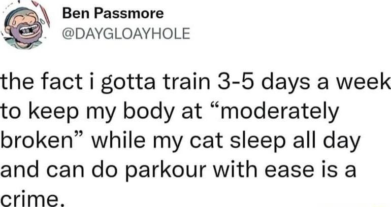 5 Ben Passmore DAYGLOAYHOLE the fact i gotta train 3 5 days a week to keep my body at moderately broken while my cat sleep all day and can do parkour with ease is a crime