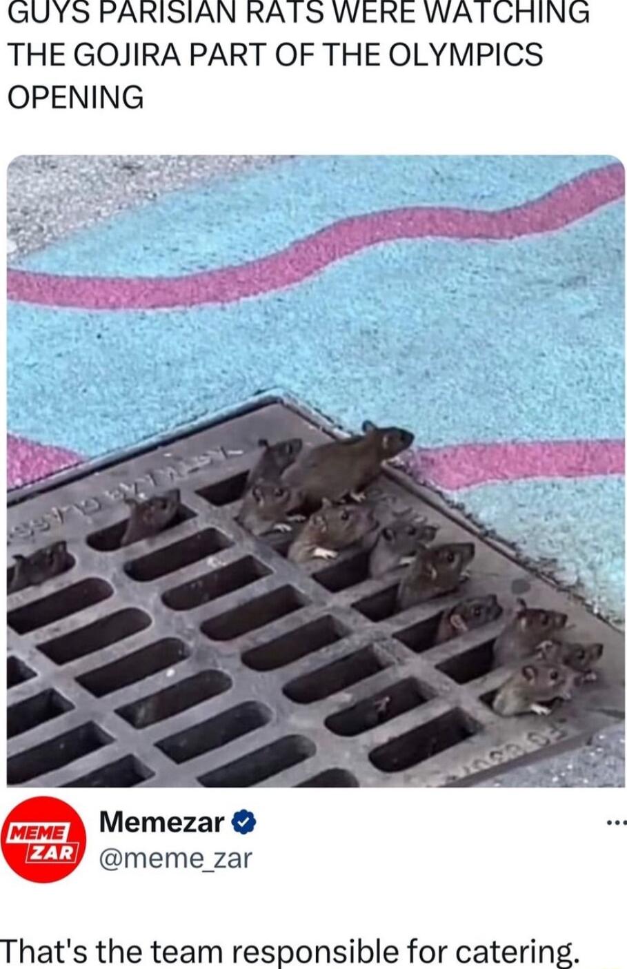 GUYS PARISIAN RATS WERE WATCRHING THE GOJIRA PART OF THE OLYMPICS OPENING Memezar meme_zar Thats the team responsible for catering