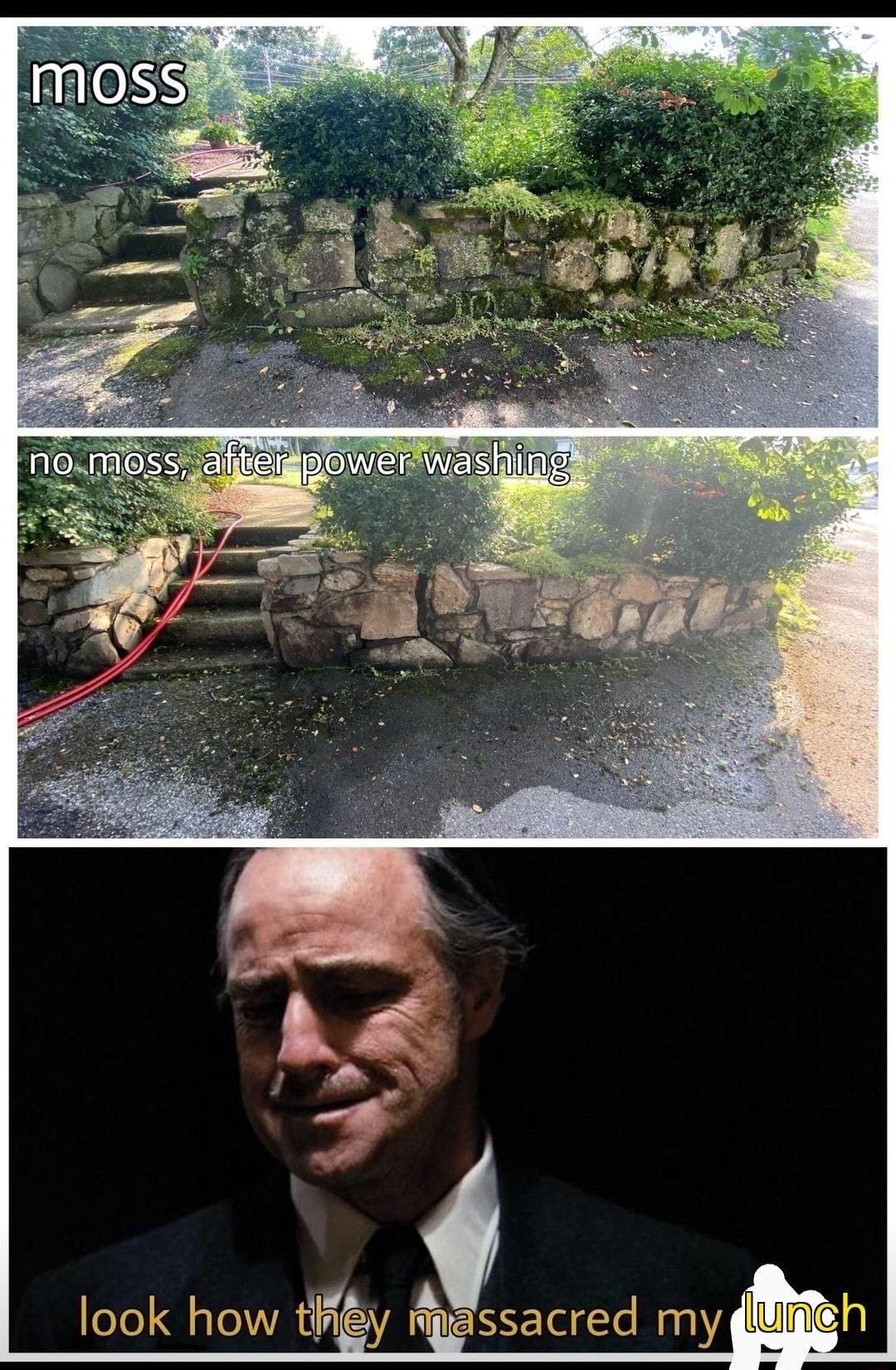 look how tigy mpassacred my