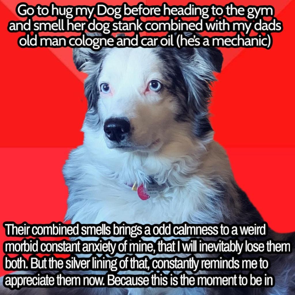Go to hug myDog before heading to the gym and smell her dog stank combined with my dads ole IRaENR cologne Elale KeTRe hes a mechanic Their oomblned smells bnngs F odd calmness OENET morbid constant anx LETEY ety of mine that will G E O e A AN g both But the SIver CAILVRIEY thatoonstany reminds me to M A M appremate them now no Because this is the momentto bein TR T N N