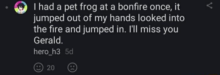 I had a pet frog at a bonfire once it jumped out of my hands looked into the fire and jumped in Ill miss you Gerald hero_h3