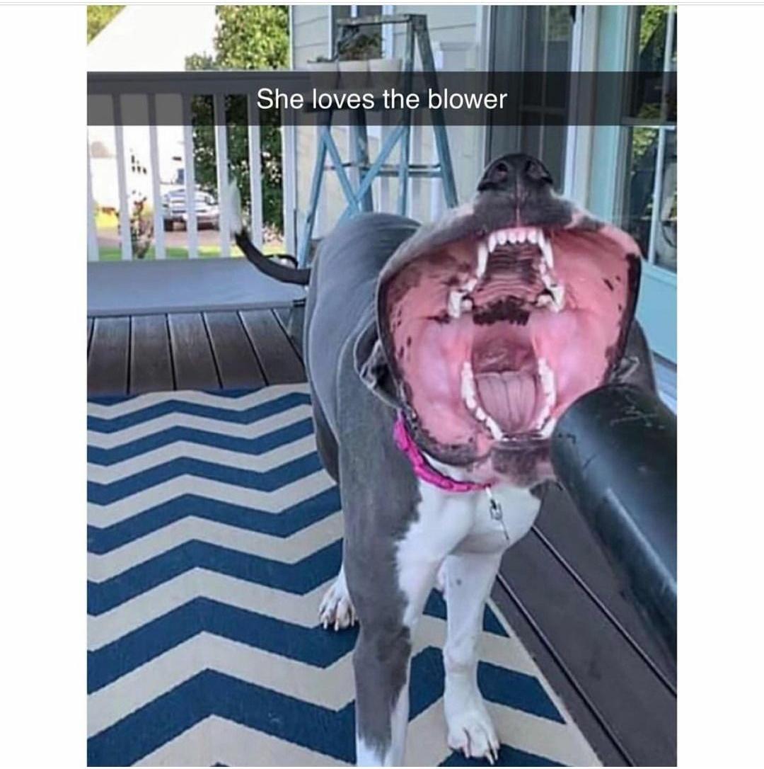 e E e She loves the blower