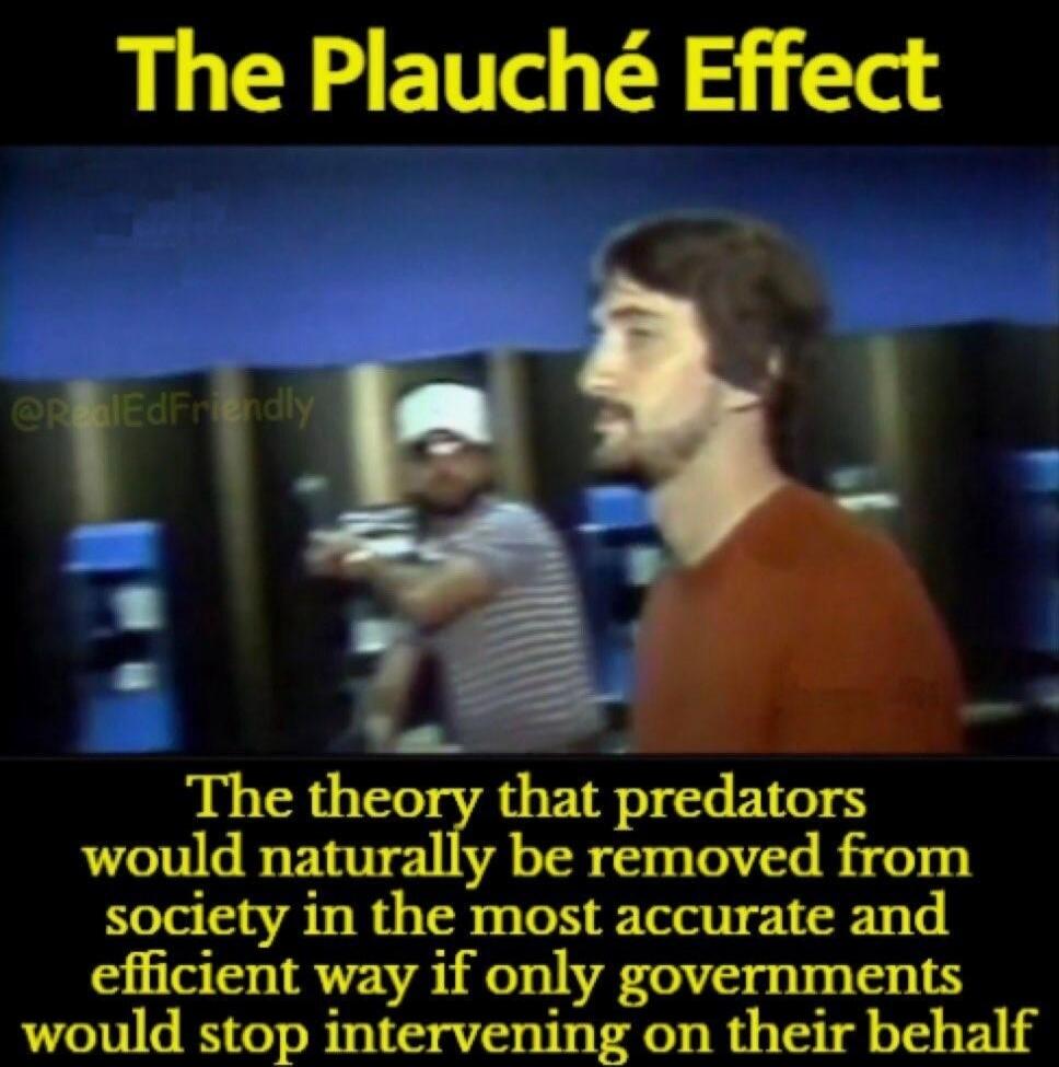The Plauché Effect
@RealEdFriendly
The theory that predators would naturally be removed from society in the most accurate and efficient way if only governments would stop intervening on their behalf