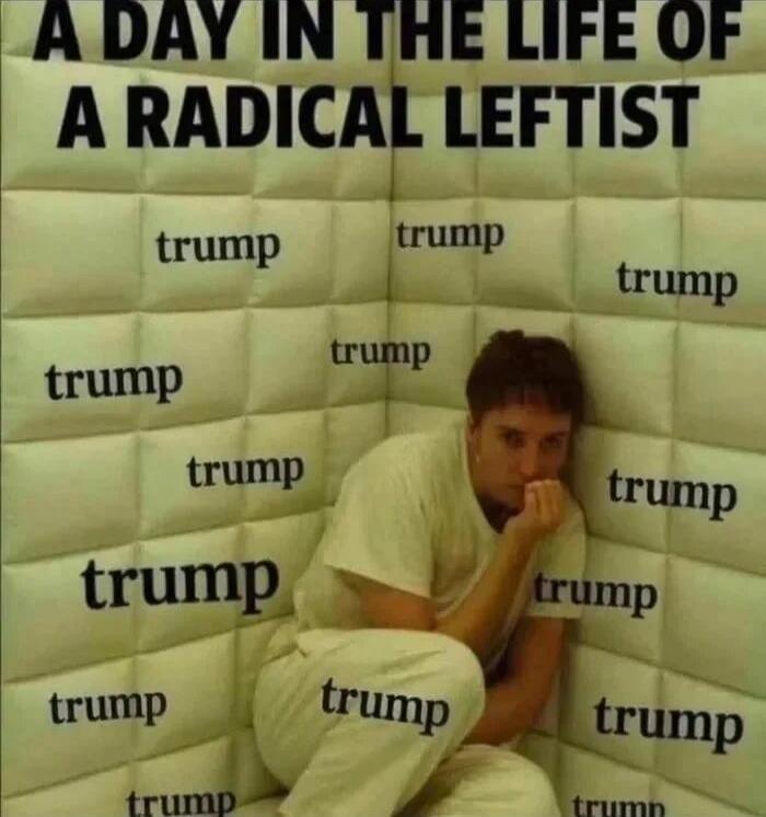 A DAY IN THE LIFE OF A RADICAL LEFTIST
trump (repeated multiple times across cushioned wall)
