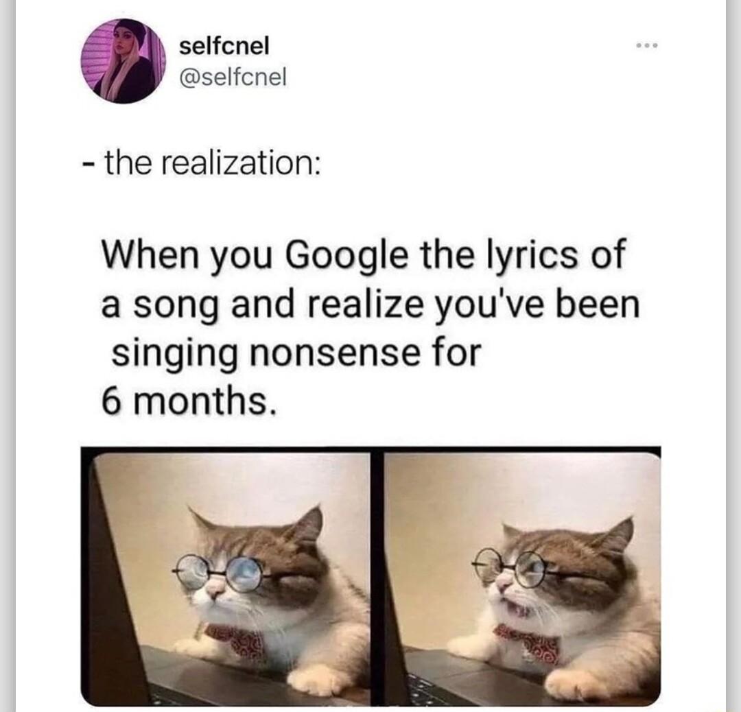 selfcnel selfcnel the realization When you Google the lyrics of a song and realize youve been singing nonsense for 6 months