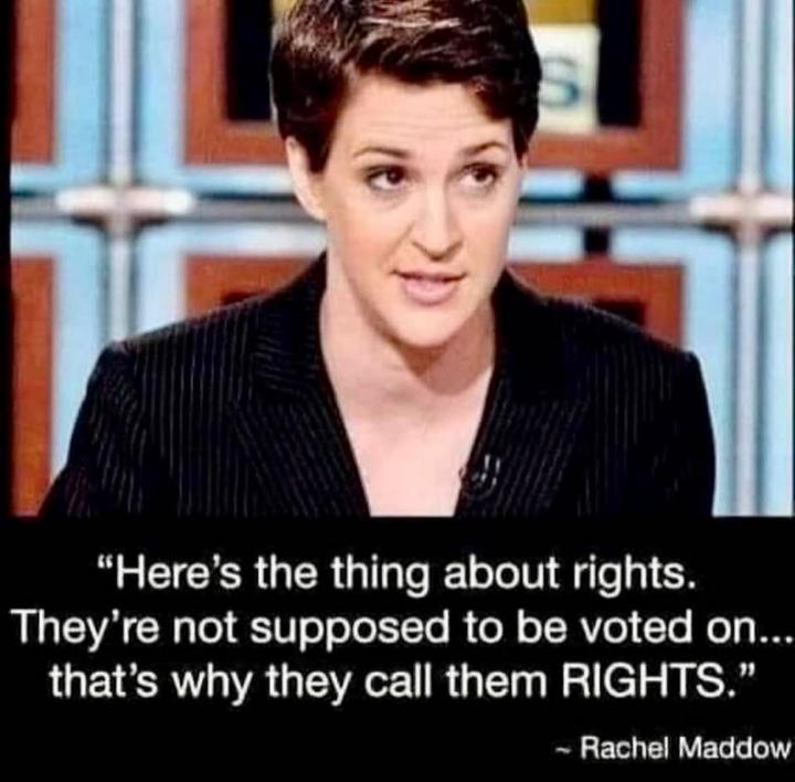 Heres the thing about rights Theyre not supposed to be voted on thats why they call them RIGHTS Rachel Maddow