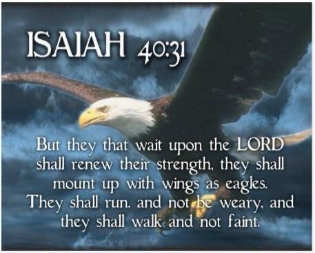 ISAIAH 40:31 But they that wait upon the LORD shall renew their strength; they shall mount up with wings as eagles; they shall run, and not be weary; and they shall walk, and not faint.