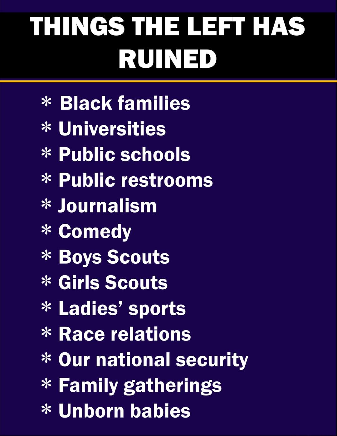 THINGS THE LEFT HAS UL 10 Black families Universities fall JTL ITCT VES Public restrooms fol ITE EET Comedy ll STOR falc 11 ERT Ladies sports Race relations lo TTT QE EXOT EET 14 Family gatherings Unborn babies