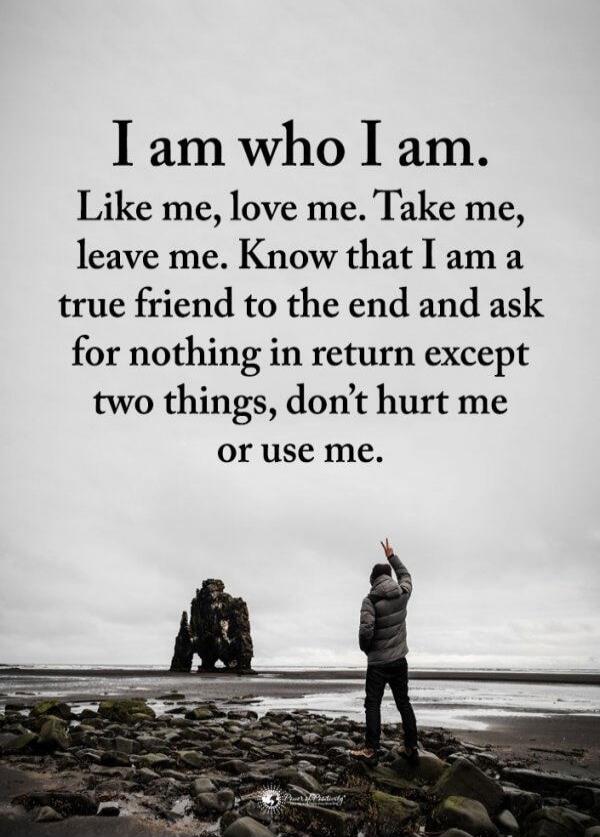 I am who I am. Like me, love me. Take me, leave me. Know that I am a true friend to the end and ask for nothing in return except two things, don’t hurt me or use me.
