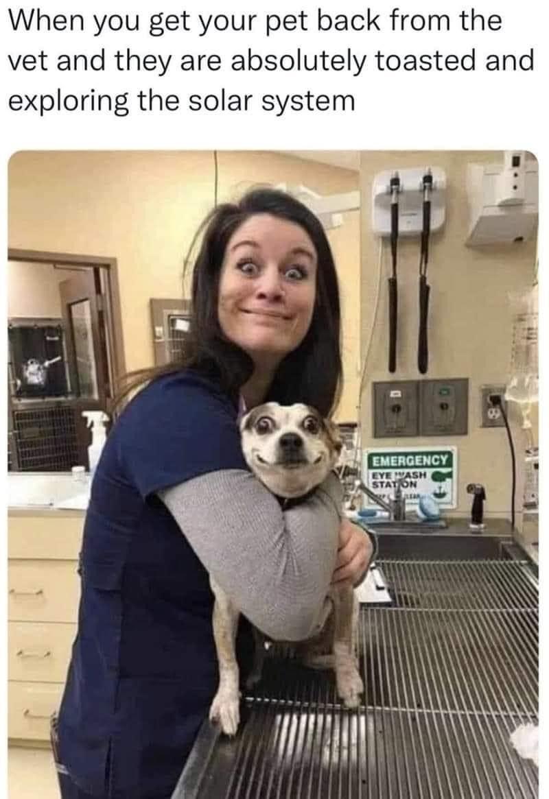 When you get your pet back from the vet and they are absolutely toasted and exploring the solar system