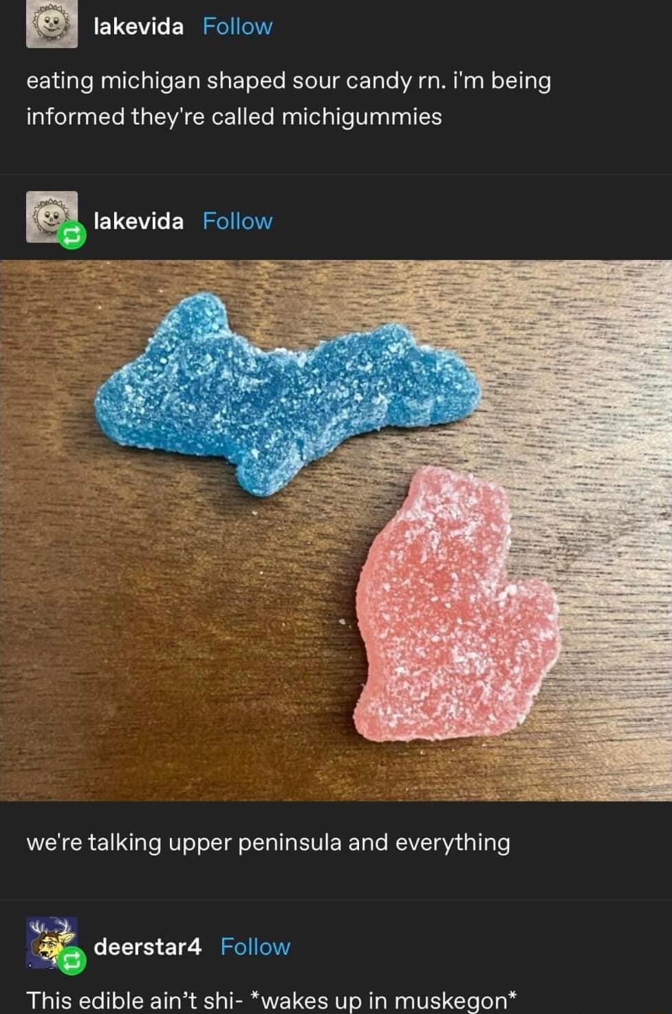 E lakevida Follow eating michigan shaped sour candy rn im being informed theyre called michigummies were talking upper peninsula and everything This edible aint shi wakes up in muskegon deerstar4 Follow