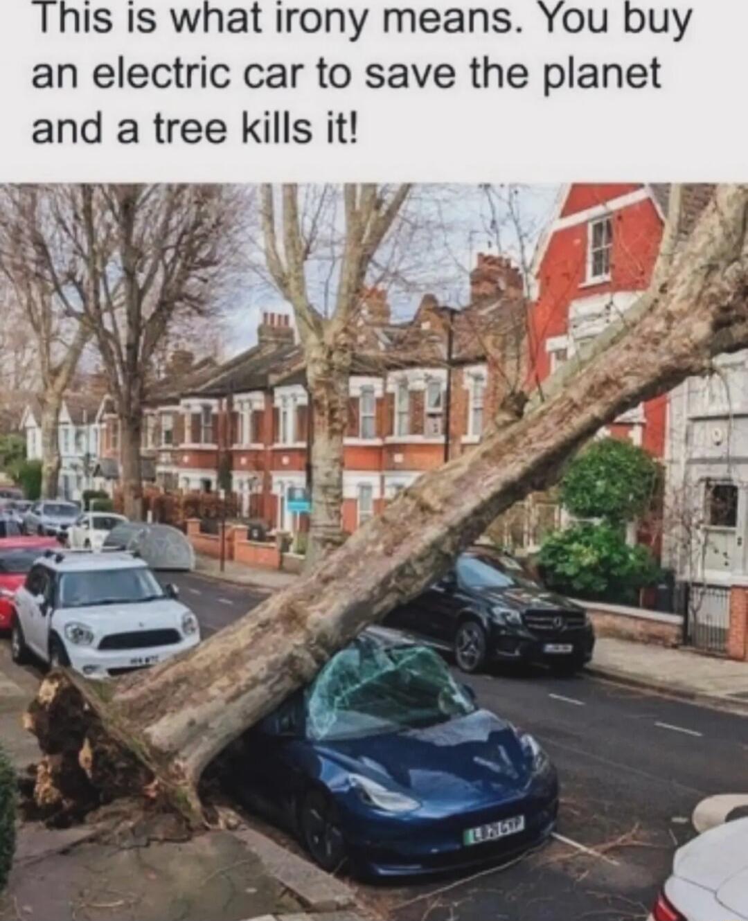 IS IS what irony means You buy an electric car to save the planet and a tree Kkills it