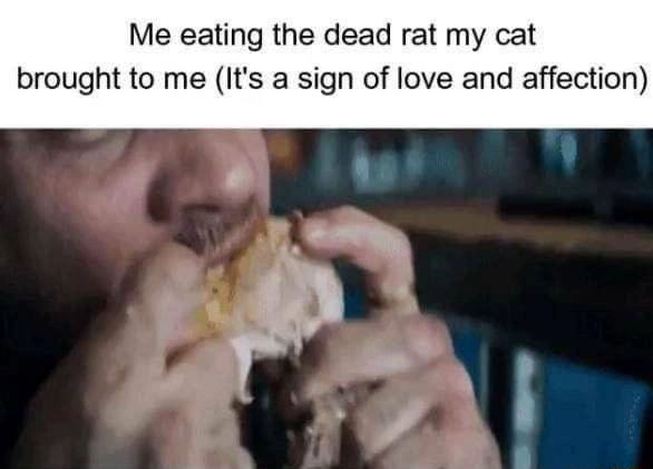 Me eating the dead rat my cat brought to me Its a sign of love and affection