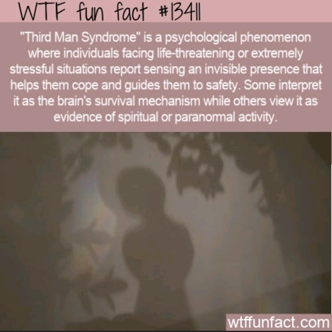 WTF fun fact B4l