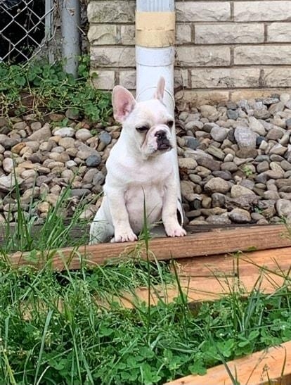 Ive been on the app for exactly 3000 days today Can get this featured