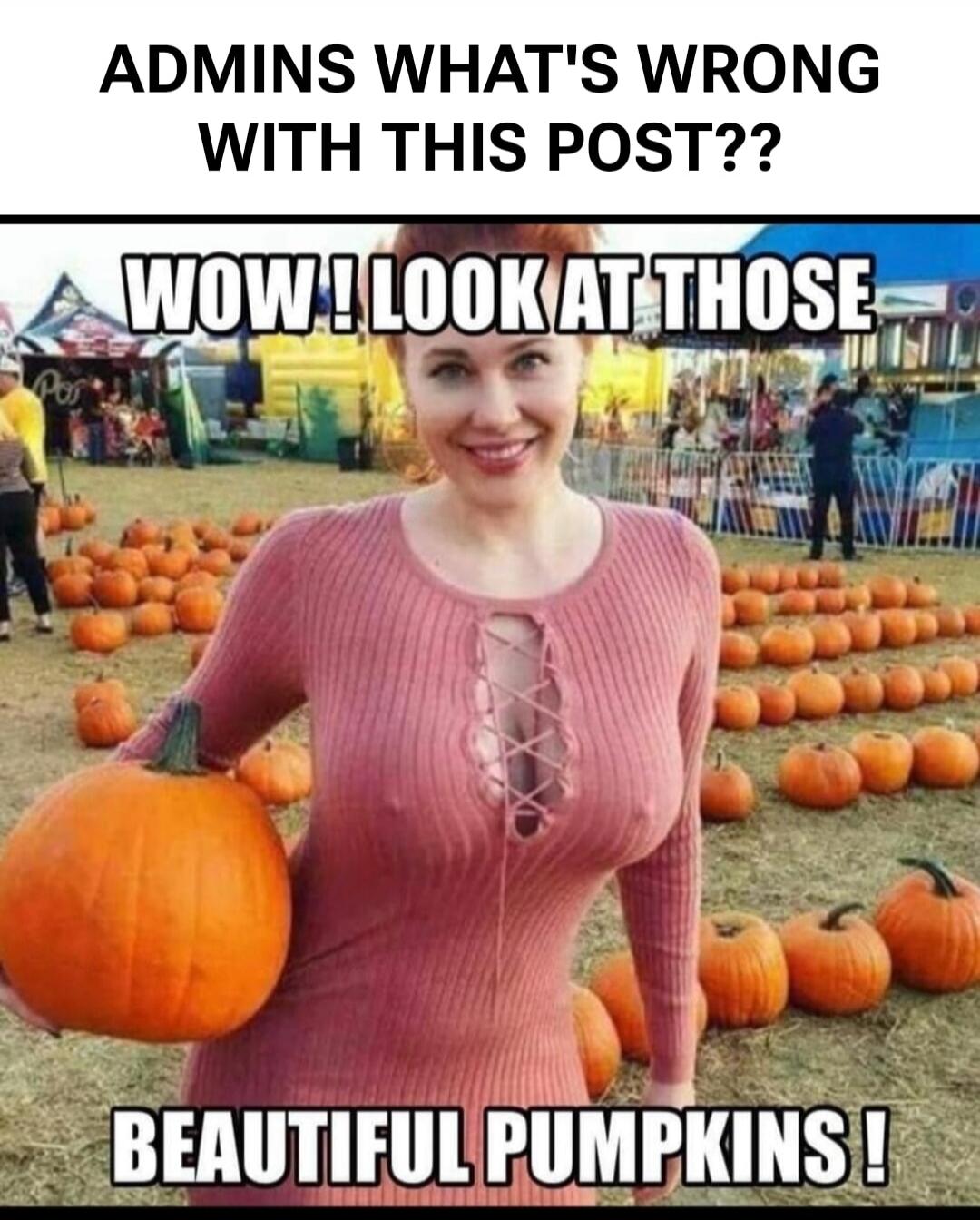Admins, what's wrong with this post?? Wow! Look at those beautiful pumpkins!