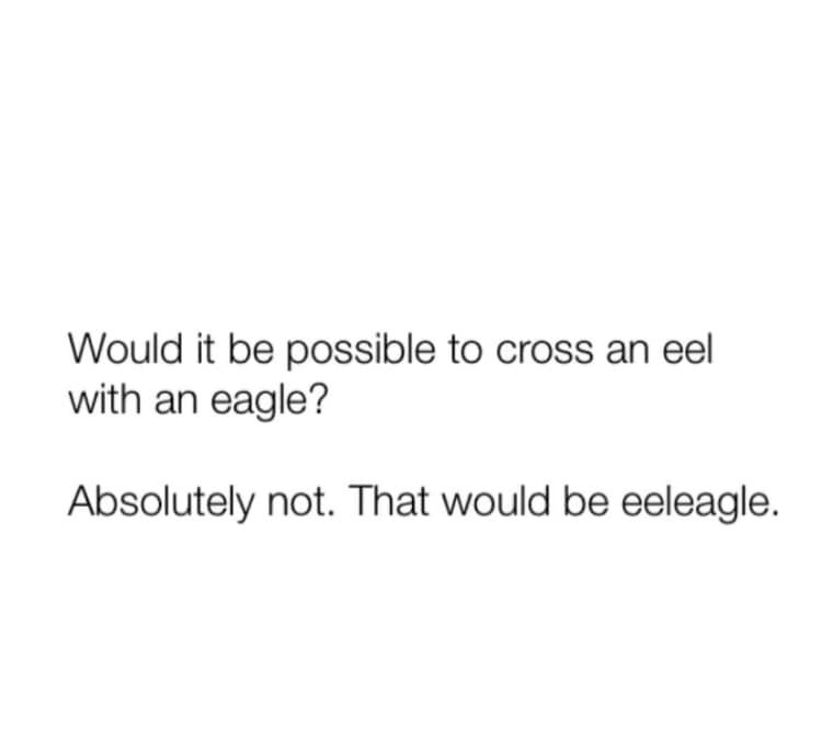 Would it be possible to cross an eel with an eagle Absolutely not That would be eeleagle